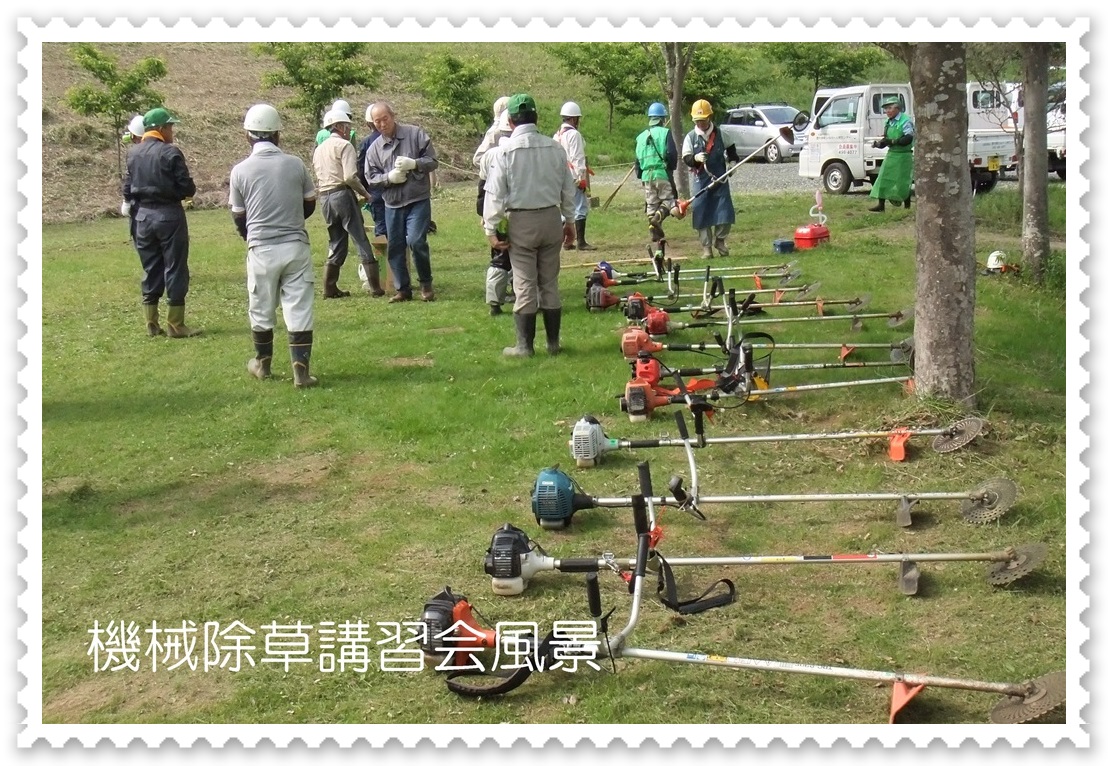 町 コロナ 酒々井